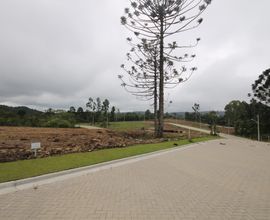 terreno-gramado-imagem