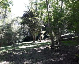 sitio-canela-imagem