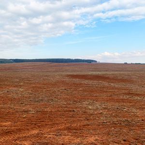 190 ha de terra argilosa - fazenda alegrete soja