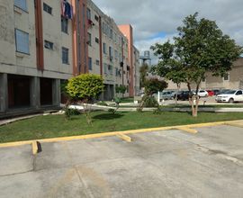 apartamento-pelotas-imagem