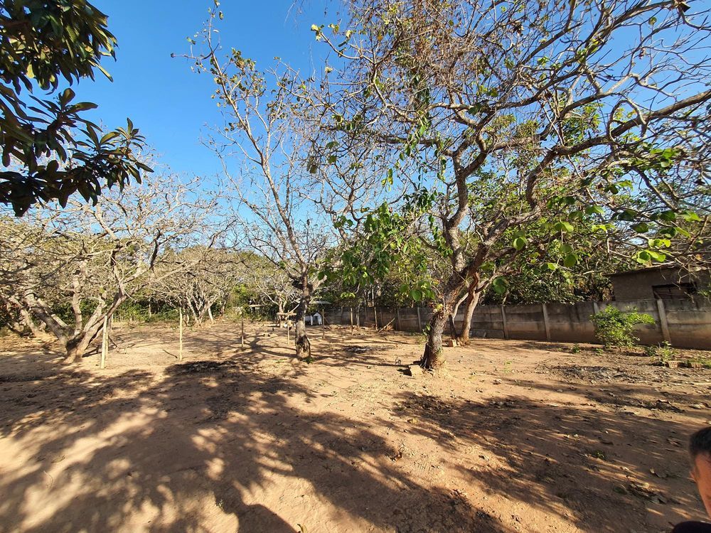  rea Rural Venda Com 0 3 Hectares Em Divin polis MG Por R 200 000 00