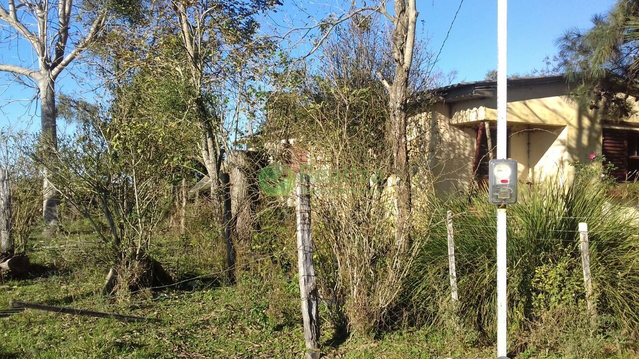 Fazenda à venda com 4 quartos, 45000m² - Foto 4