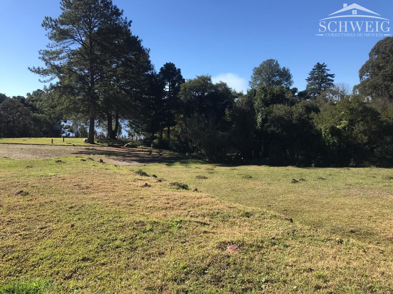 Terreno, 400 m² - Foto 5