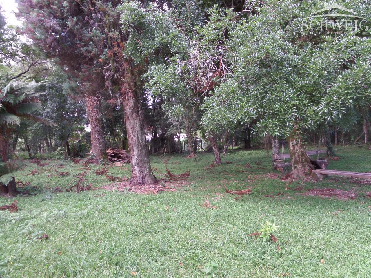 Terreno, 4567 m² - Foto 27