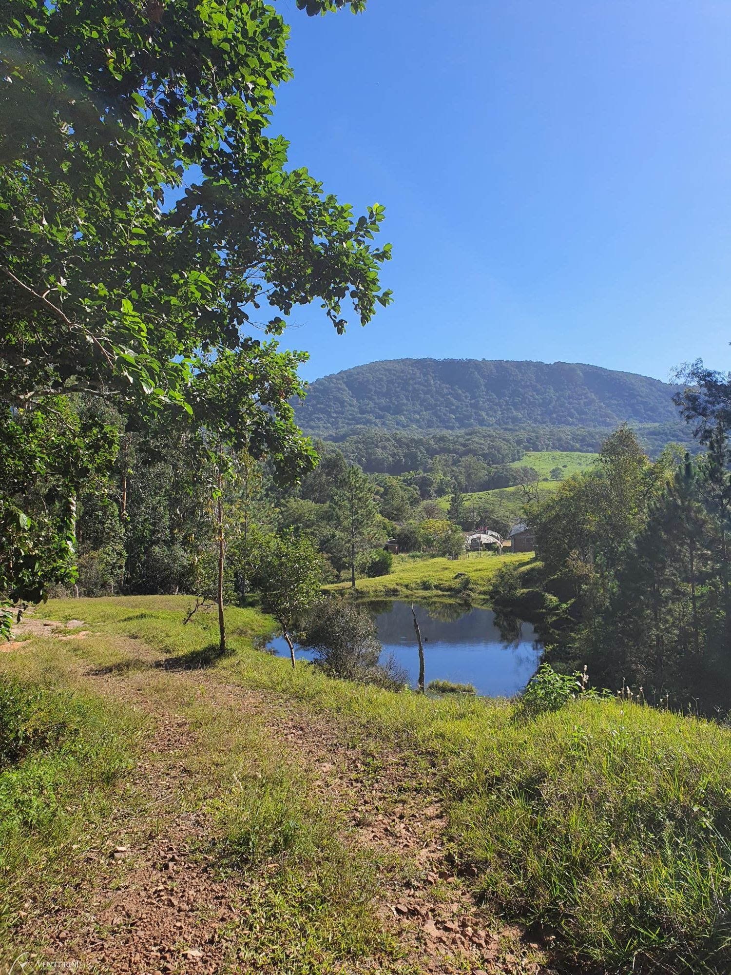 Fazenda à venda com 3 quartos, 308000000m² - Foto 3