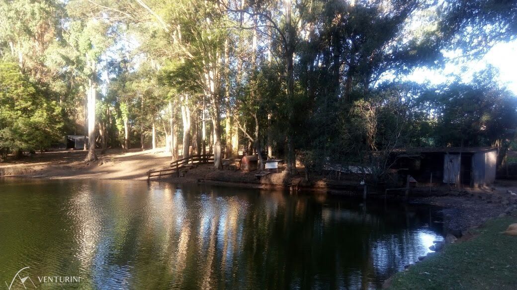 Chácara, 4 quartos, 40000 hectares - Foto 19