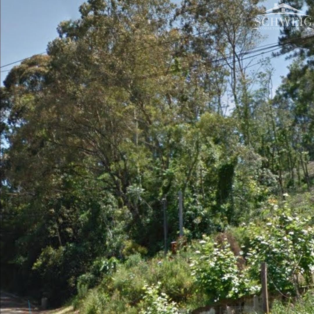 Terreno, 2 hectares - Foto 9