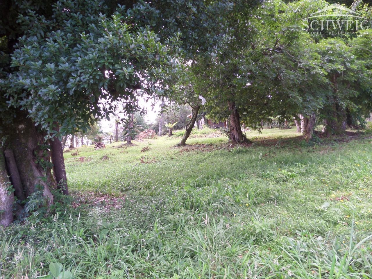 Terreno, 4567 m² - Foto 16