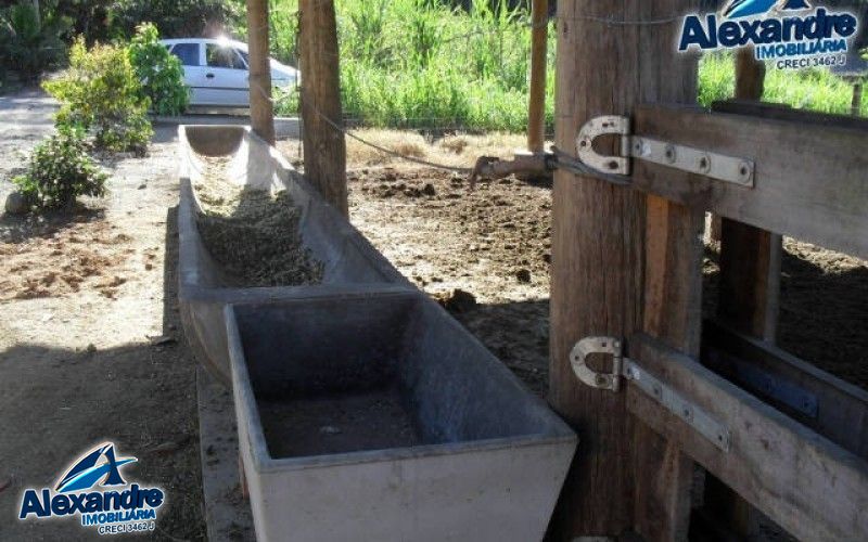 Fazenda à venda com 3 quartos, 280000000m² - Foto 34