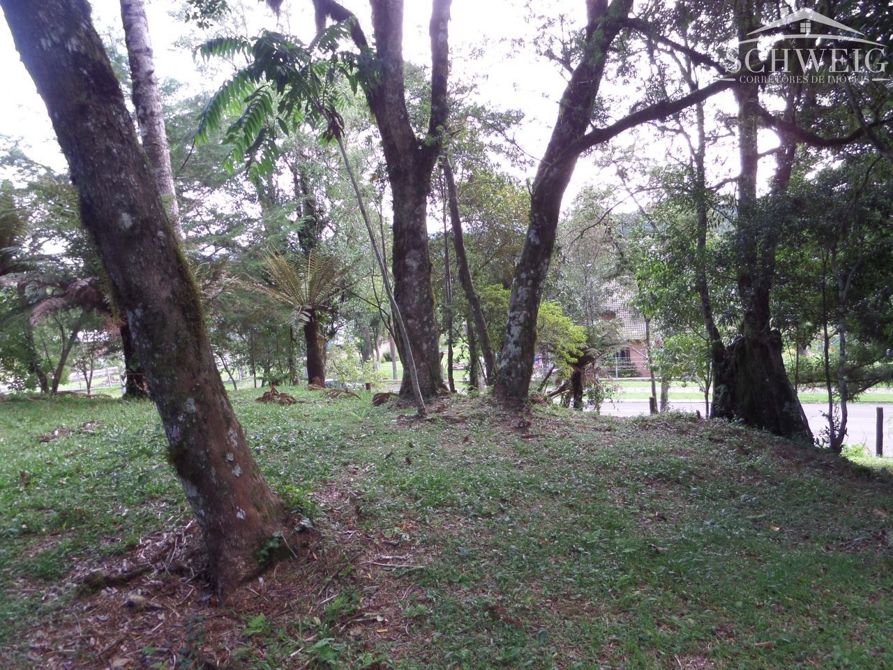 Terreno, 4567 m² - Foto 24