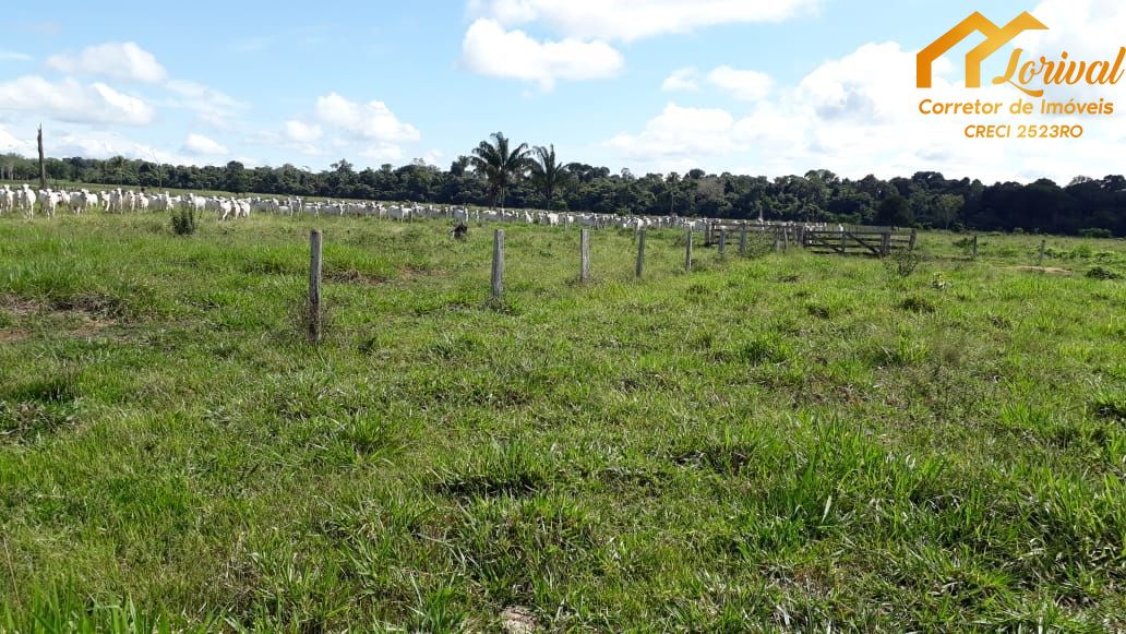 Fazenda à venda, 2347400m² - Foto 29