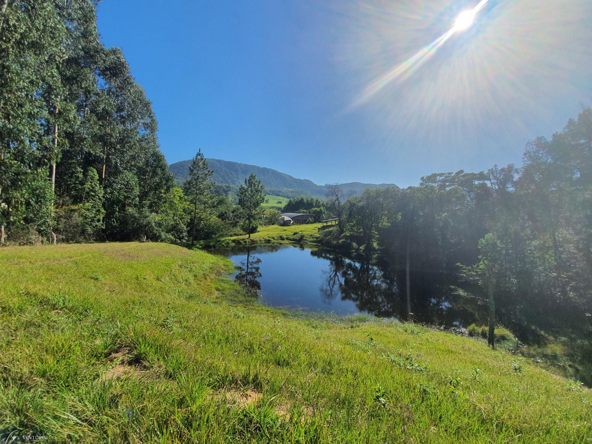 Fazenda à venda com 3 quartos, 308000000m² - Foto 13