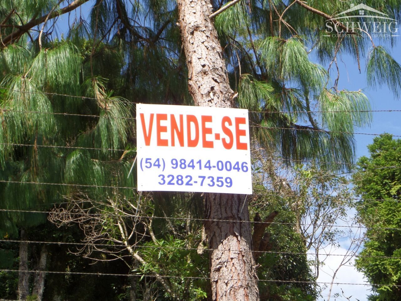 Terreno, 4567 m² - Foto 12