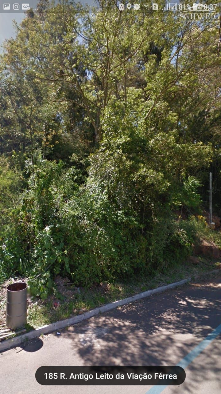 Terreno, 2 hectares - Foto 3