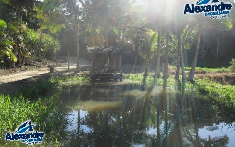 Fazenda à venda com 3 quartos, 280000000m² - Foto 17