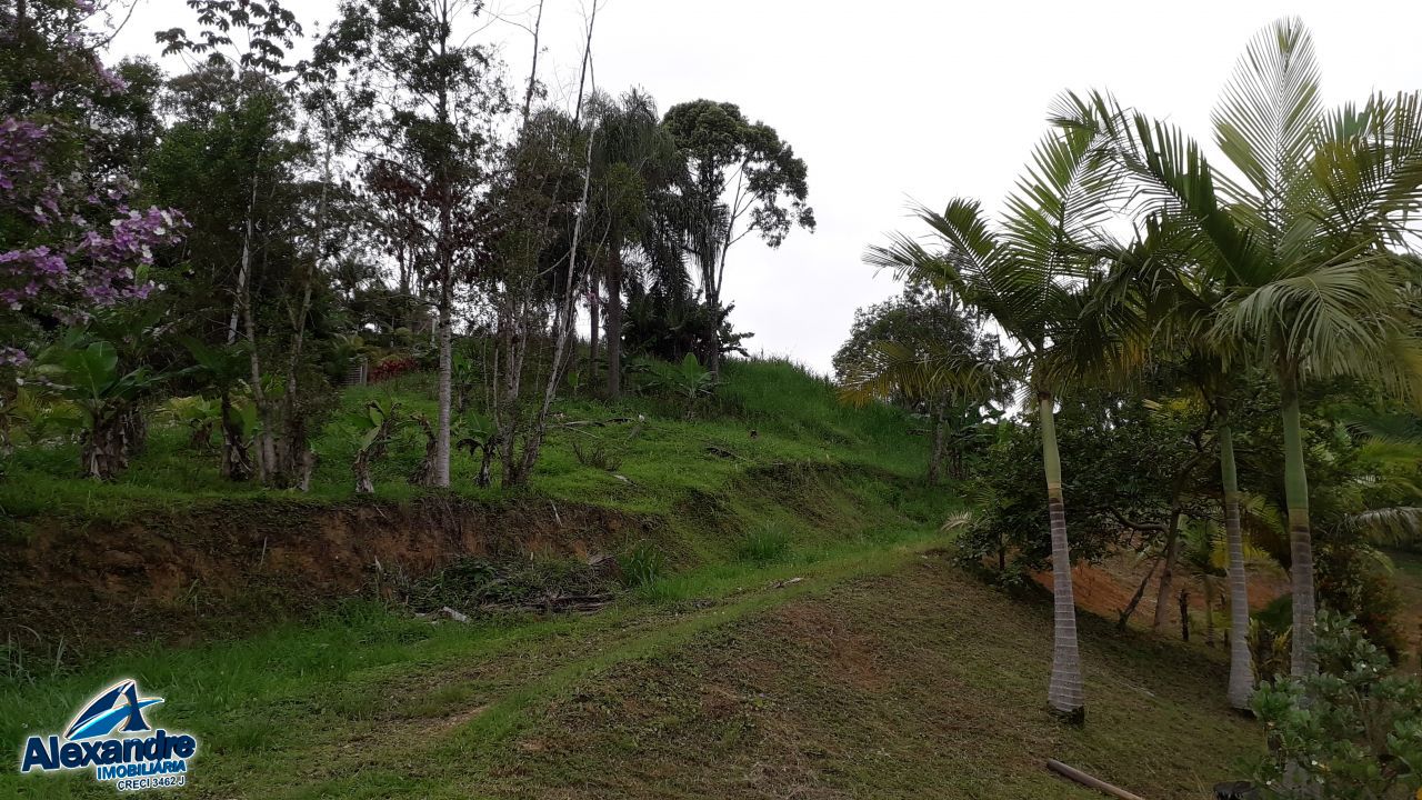 Sítio à venda com 3 quartos, 15000m² - Foto 8