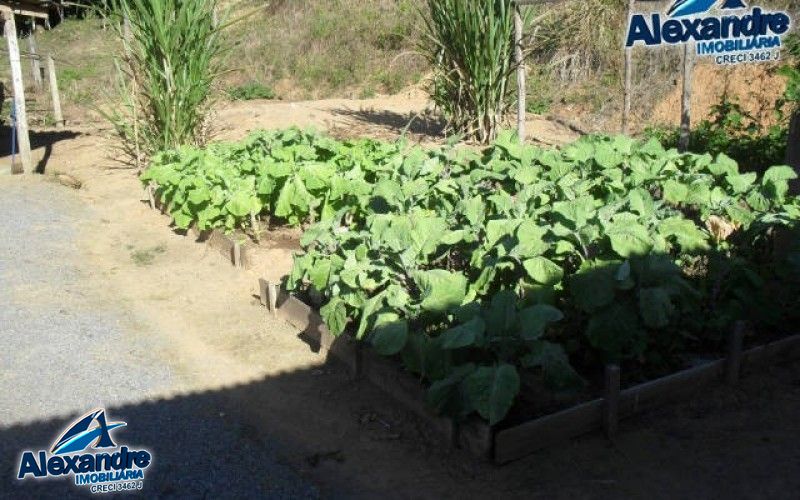 Fazenda à venda com 3 quartos, 280000000m² - Foto 21