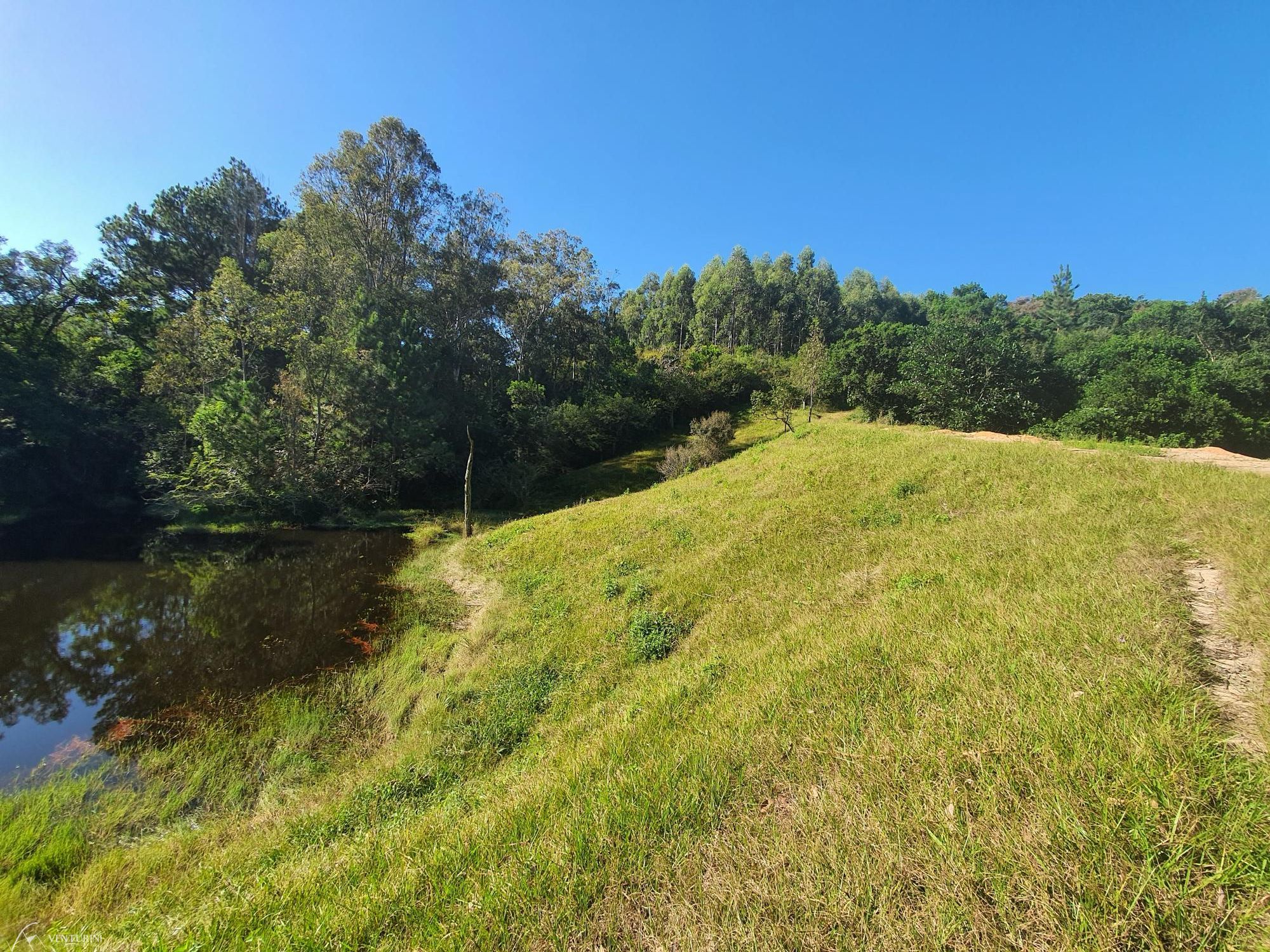 Fazenda à venda com 3 quartos, 308000000m² - Foto 14