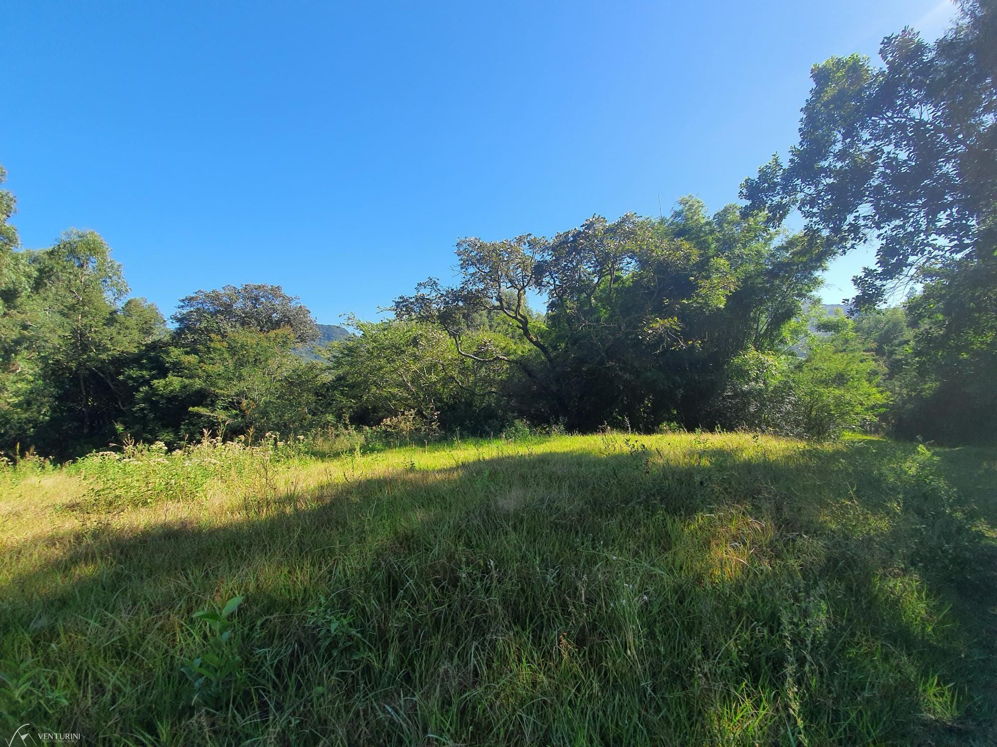 Fazenda à venda com 3 quartos, 308000000m² - Foto 10