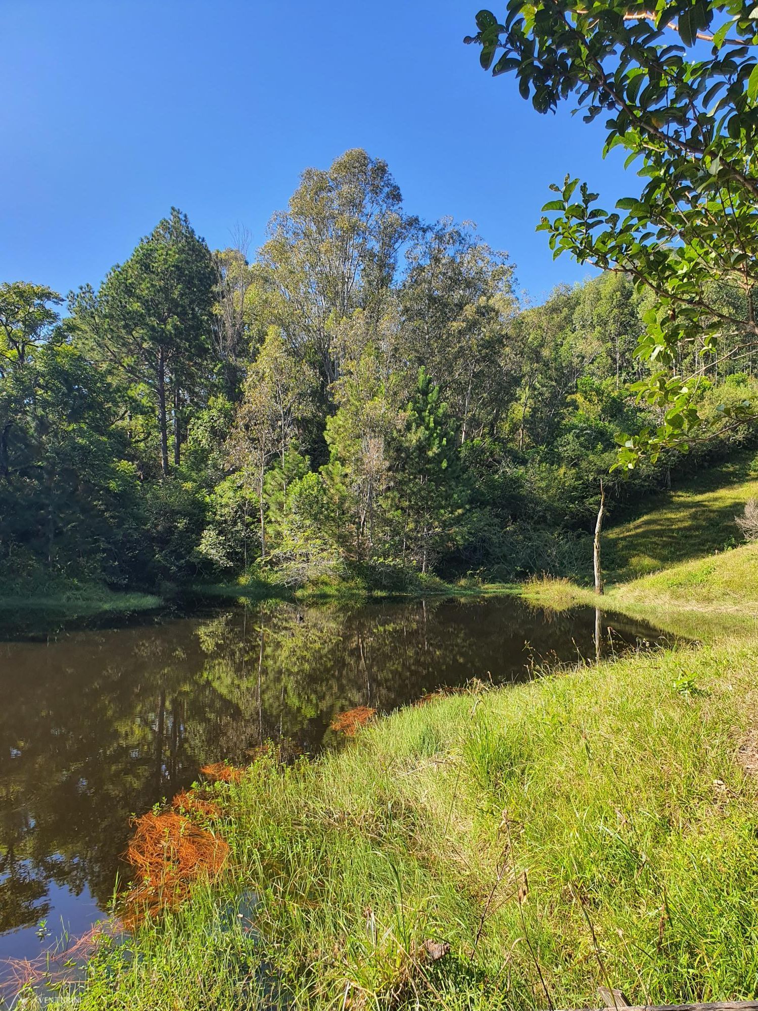 Fazenda à venda com 3 quartos, 308000000m² - Foto 2