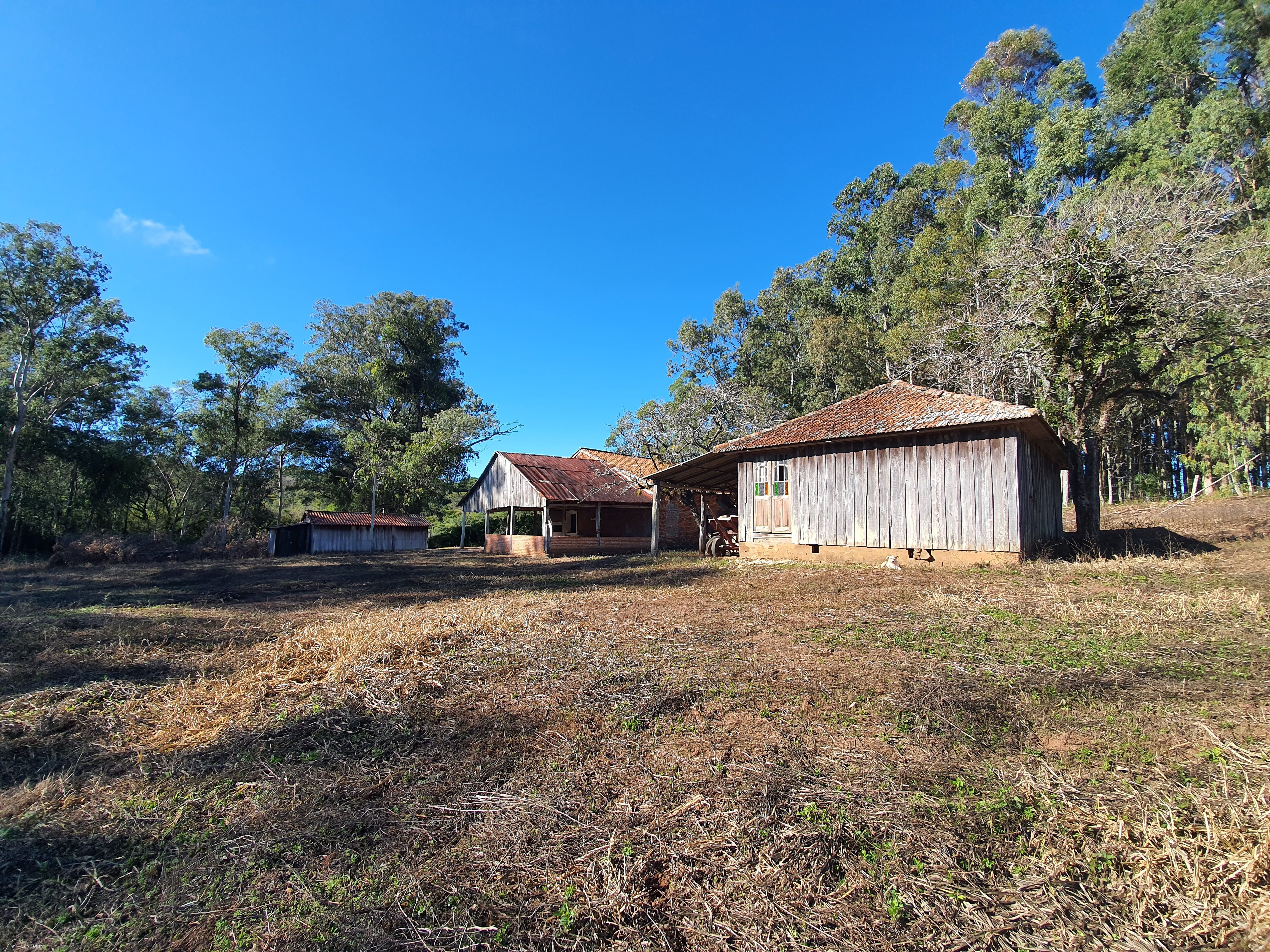 Chácara à venda com 2 quartos, 3000000000m² - Foto 19