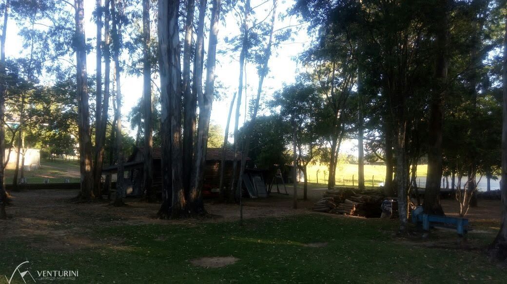 Chácara, 4 quartos, 40000 hectares - Foto 22