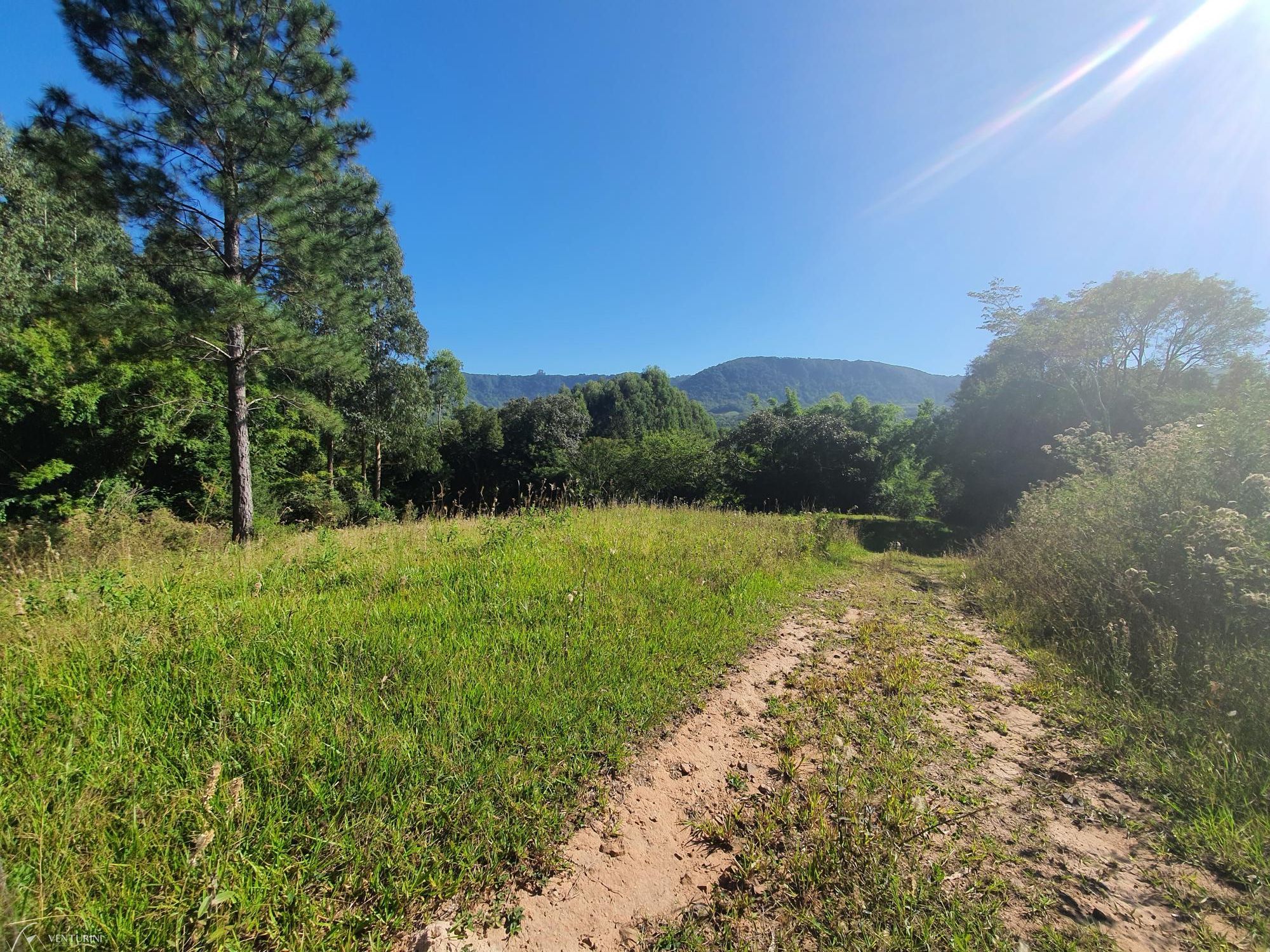 Fazenda à venda com 3 quartos, 308000000m² - Foto 4