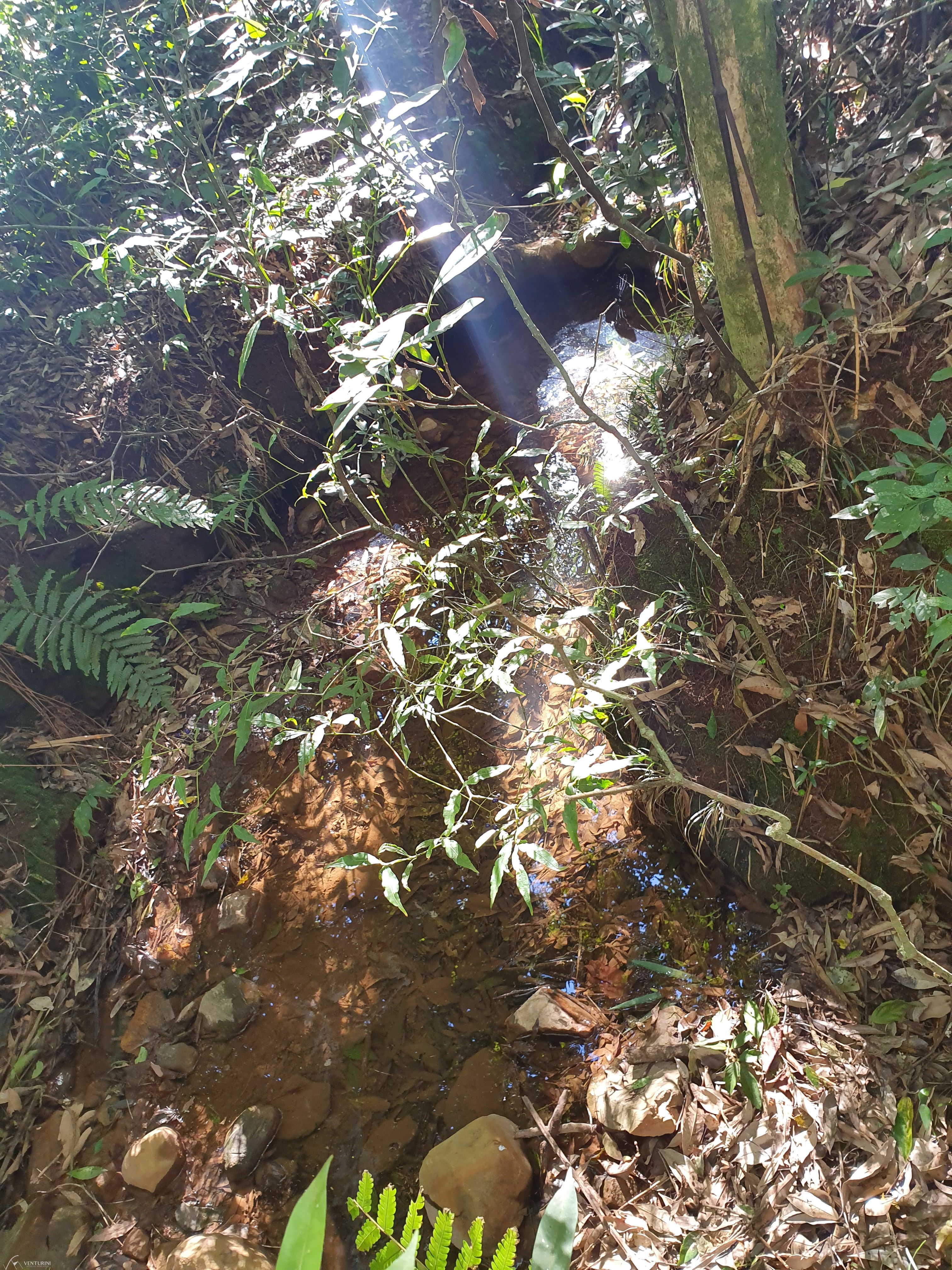 Fazenda à venda com 2 quartos, 3000000000m² - Foto 16