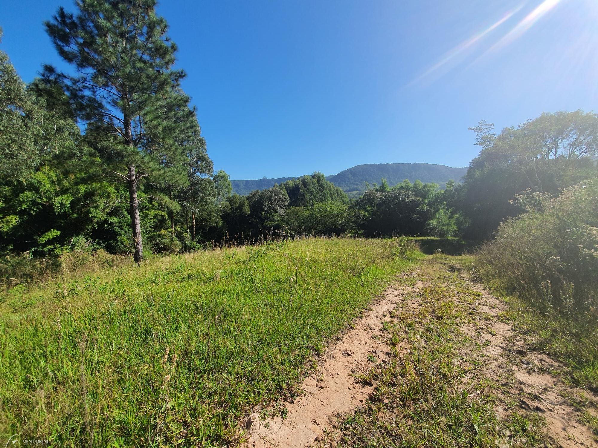 Fazenda à venda com 3 quartos, 308000000m² - Foto 7