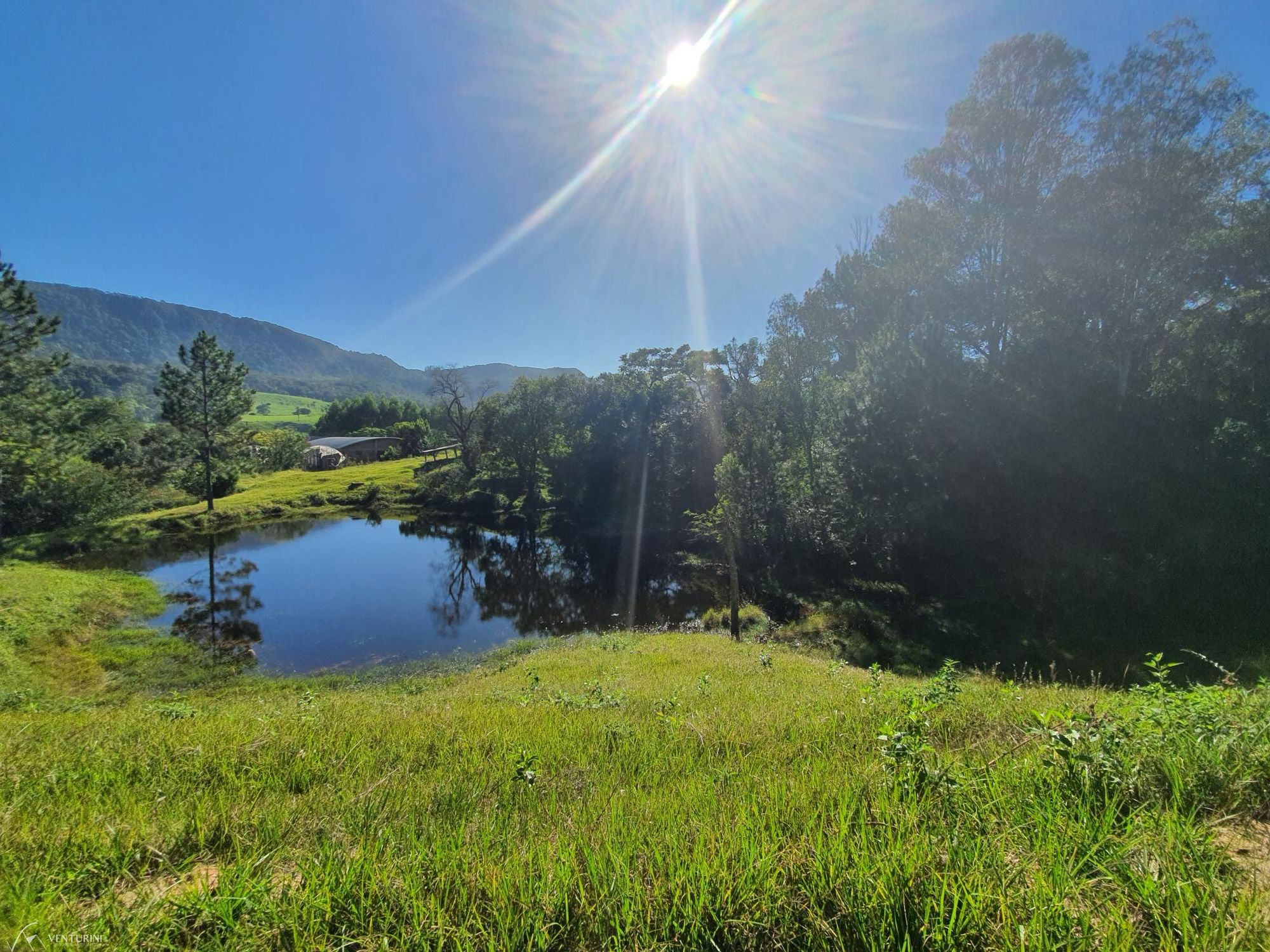 Fazenda à venda com 3 quartos, 308000000m² - Foto 12