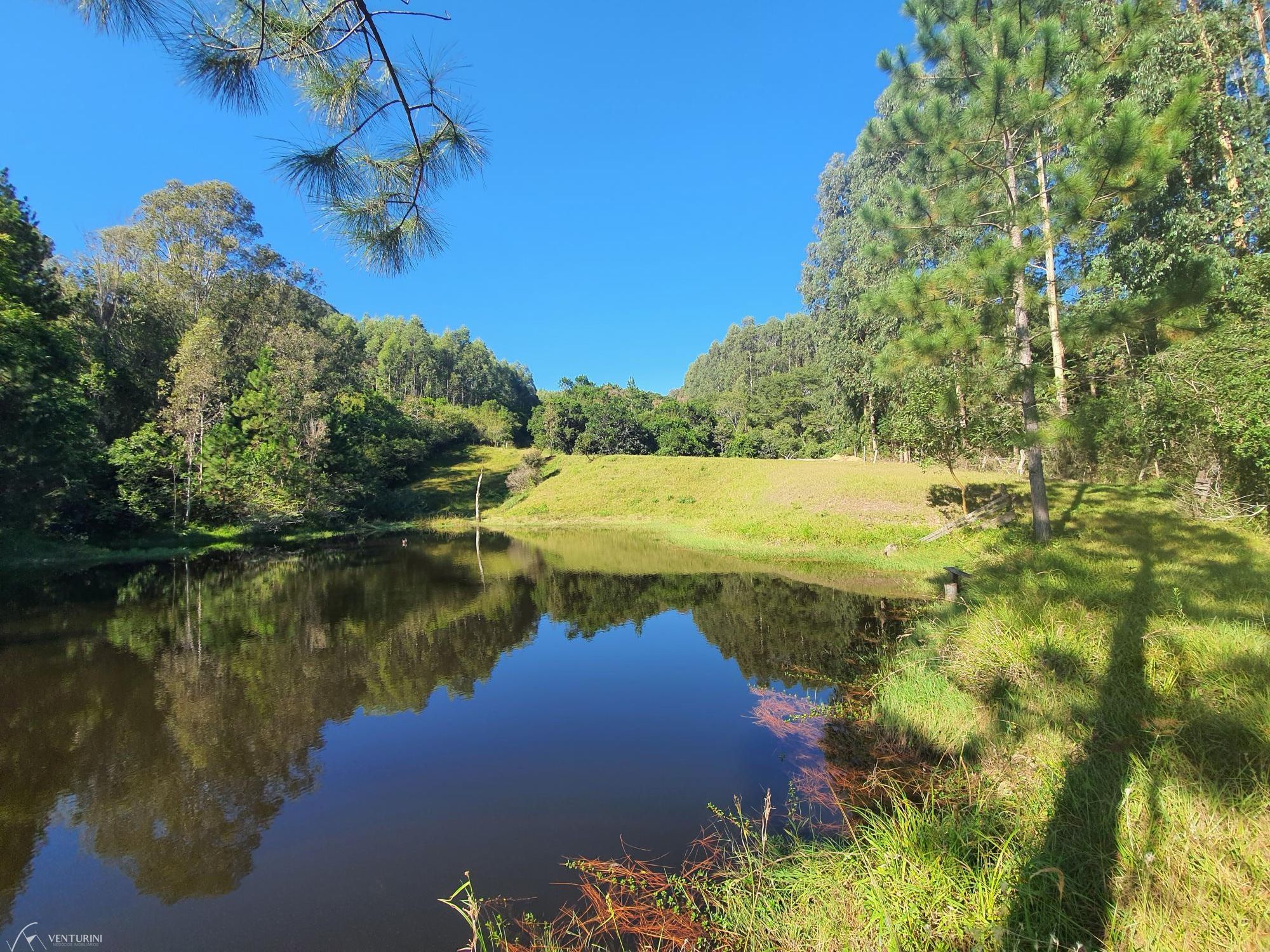 Fazenda à venda com 3 quartos, 308000000m² - Foto 15