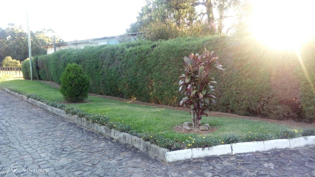 Fazenda à venda com 4 quartos, 480m² - Foto 18