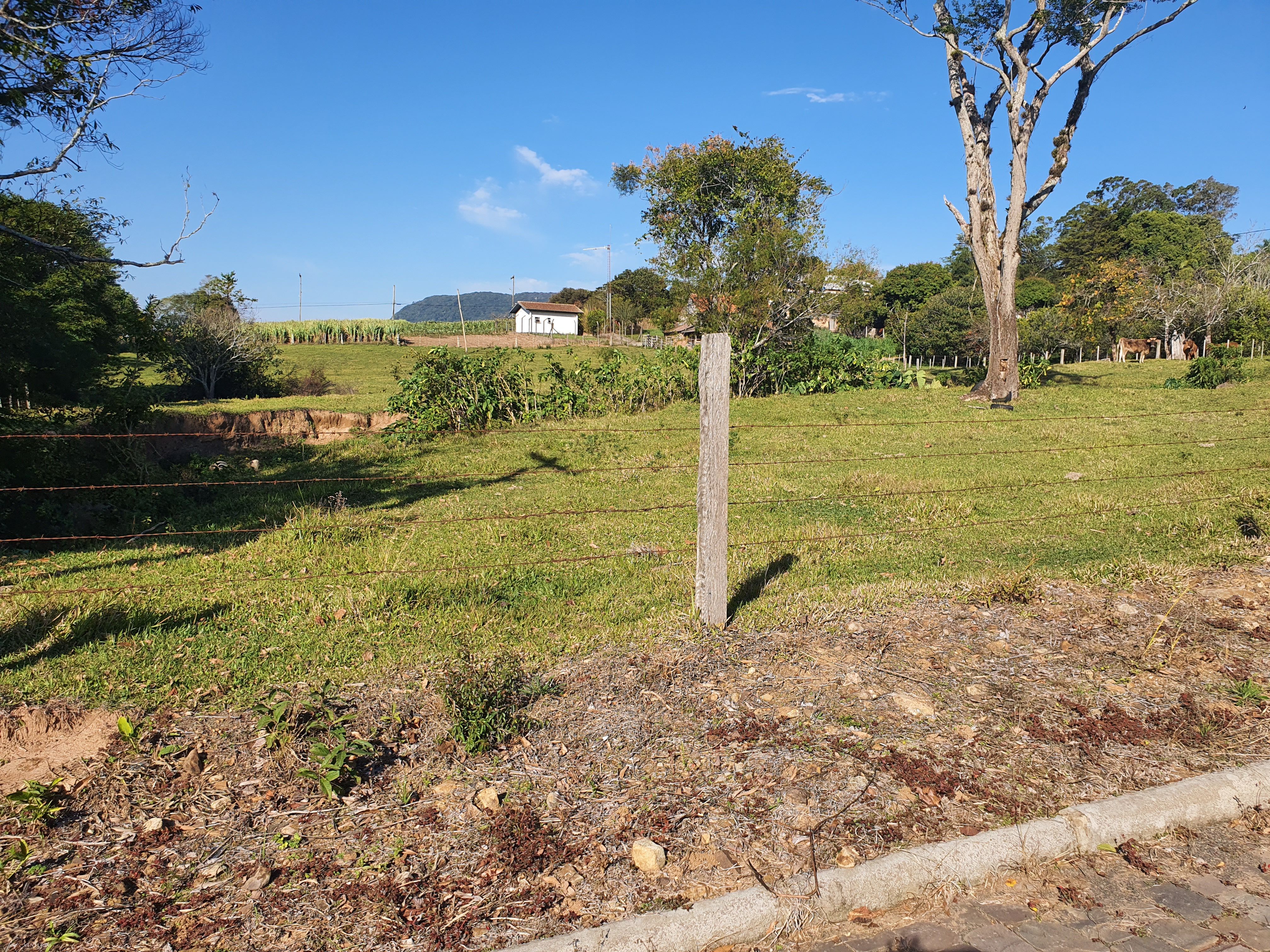 Terreno à venda, 7197m² - Foto 9