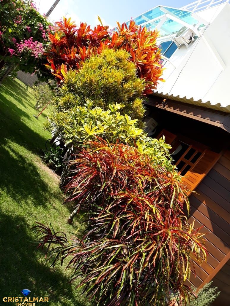 Casa, 3 quartos, 190 m² - Foto 6