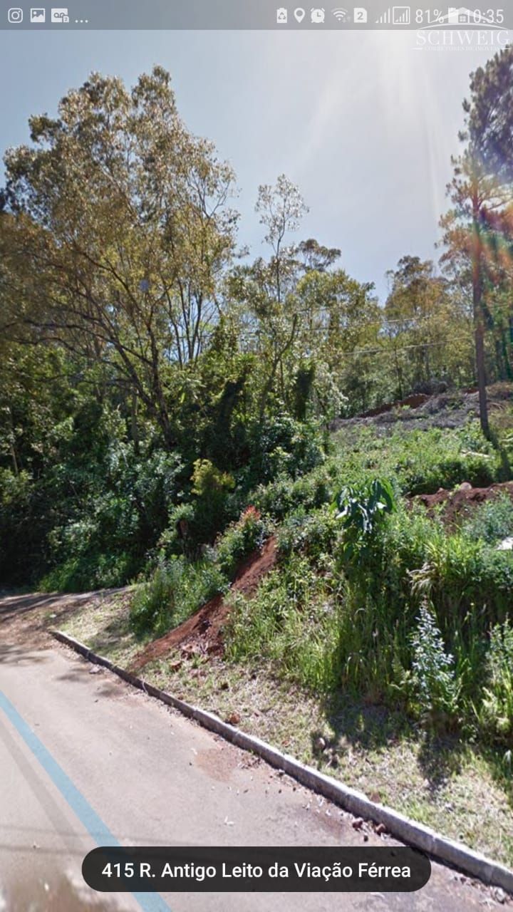 Terreno, 2 hectares - Foto 7