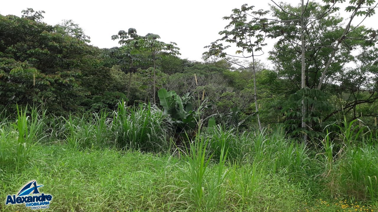 Sítio à venda com 3 quartos, 15000m² - Foto 12
