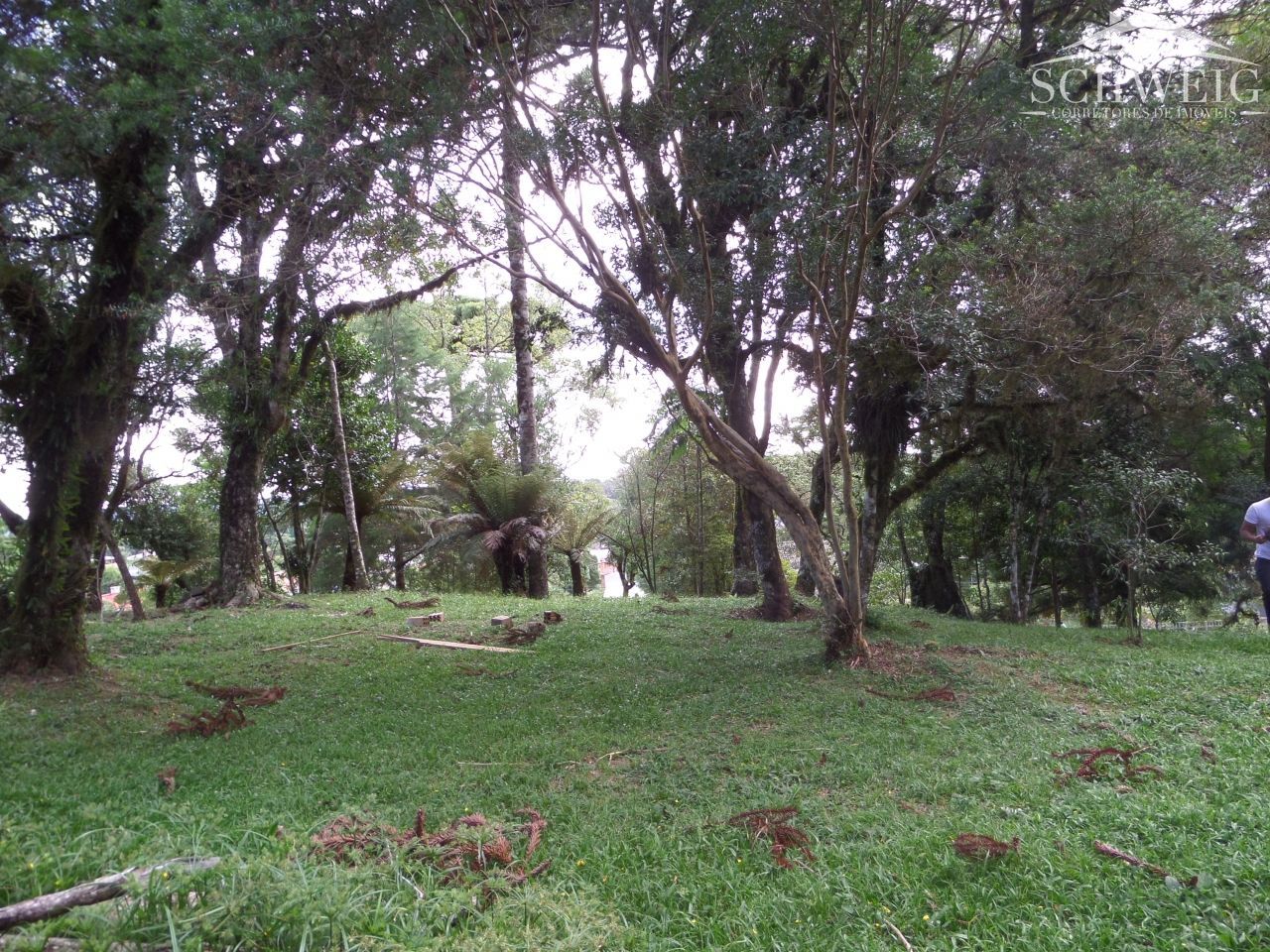 Terreno, 4567 m² - Foto 29