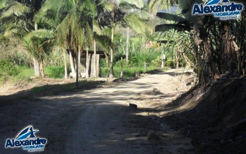 Fazenda à venda com 3 quartos, 280000000m² - Foto 11