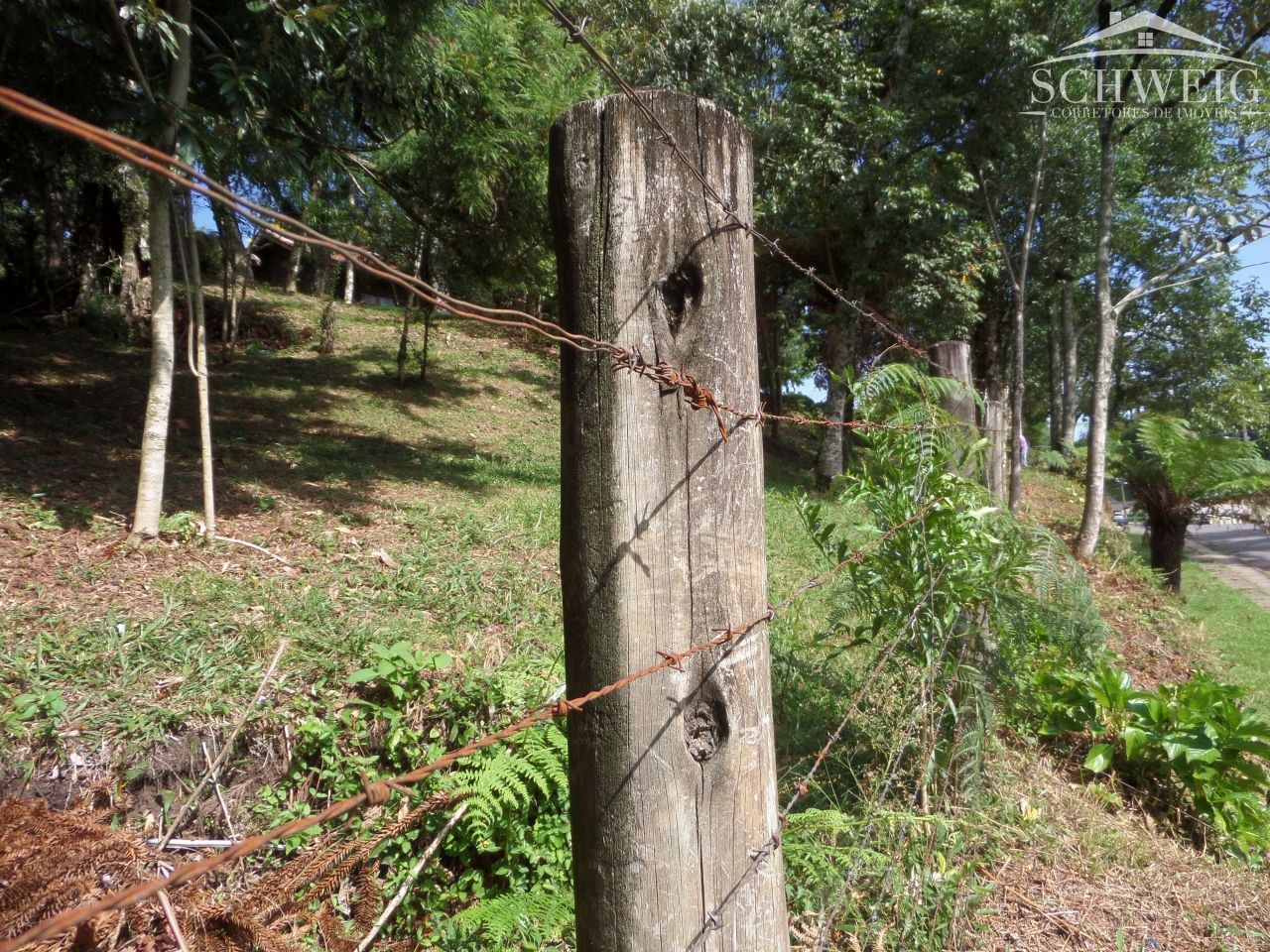 Terreno à venda, 4567m² - Foto 9