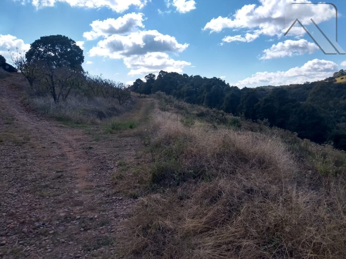 Fazenda à venda, 20000m² - Foto 3