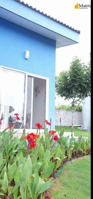 Chácara, 3 quartos, 1000 hectares - Foto 10