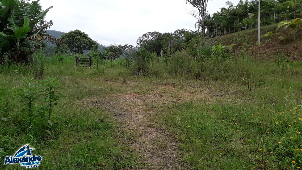 Sítio à venda com 3 quartos, 15000m² - Foto 14