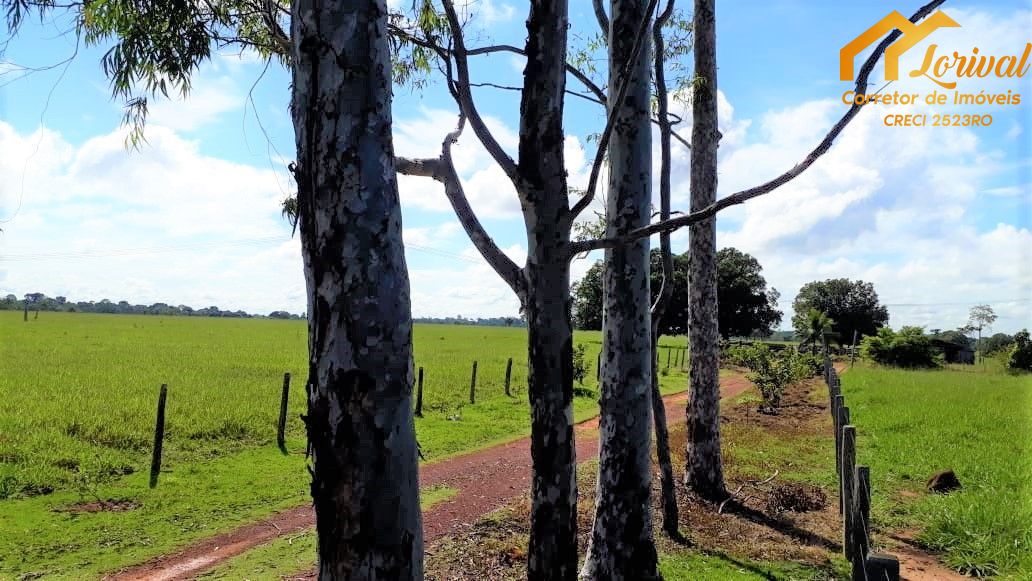 Fazenda à venda, 2347400m² - Foto 4