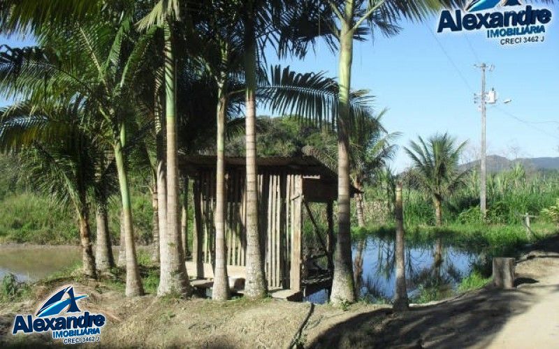 Sítio à venda com 3 quartos, 280000000m² - Foto 1
