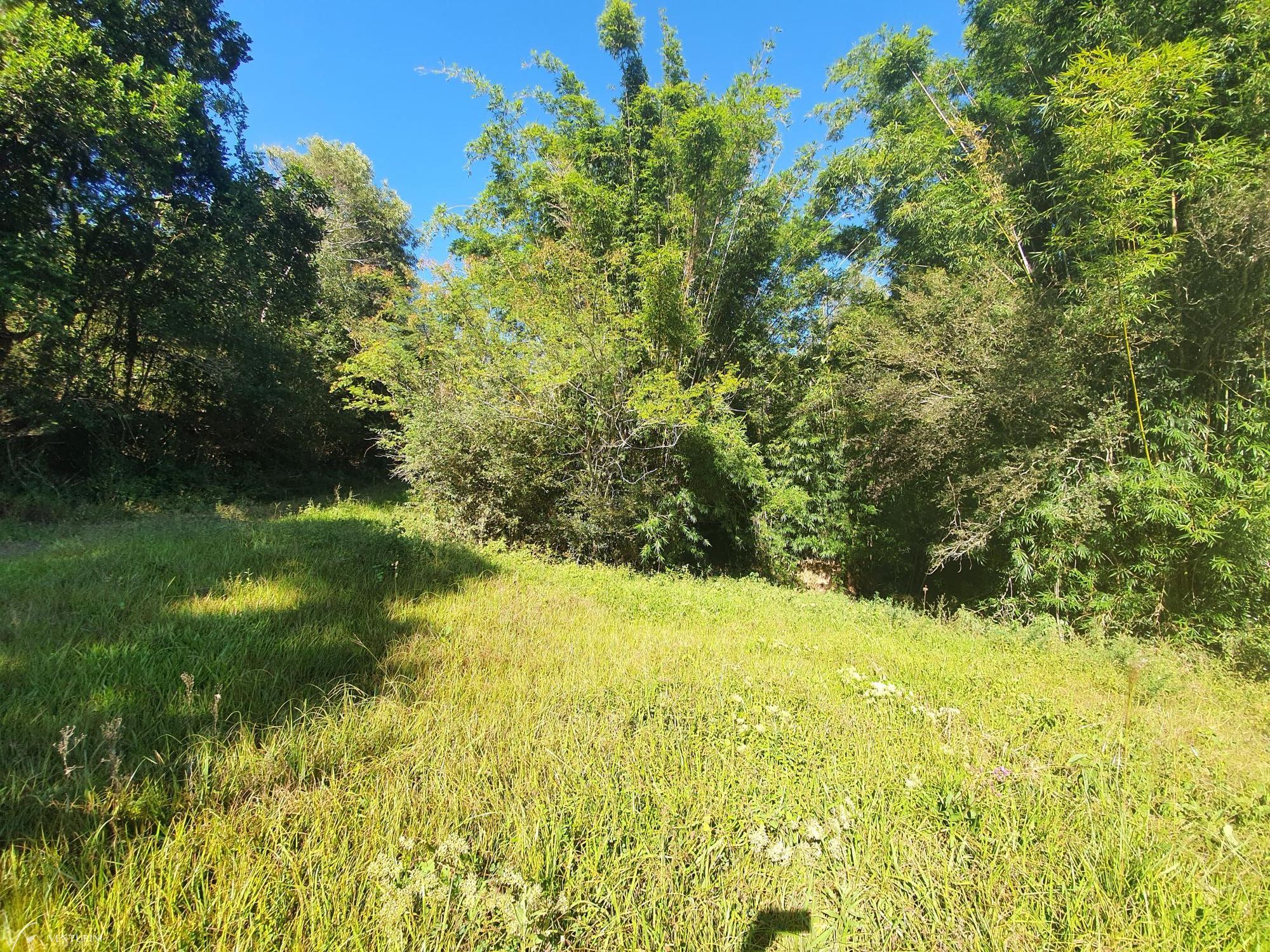 Terreno, 30800 hectares - Foto 8