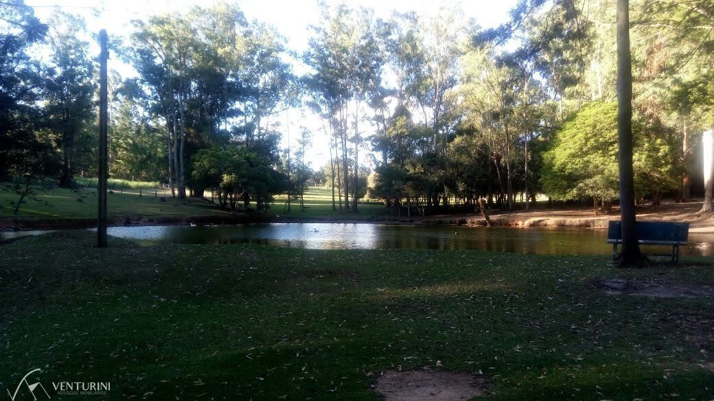 Chácara, 4 quartos, 40000 hectares - Foto 14