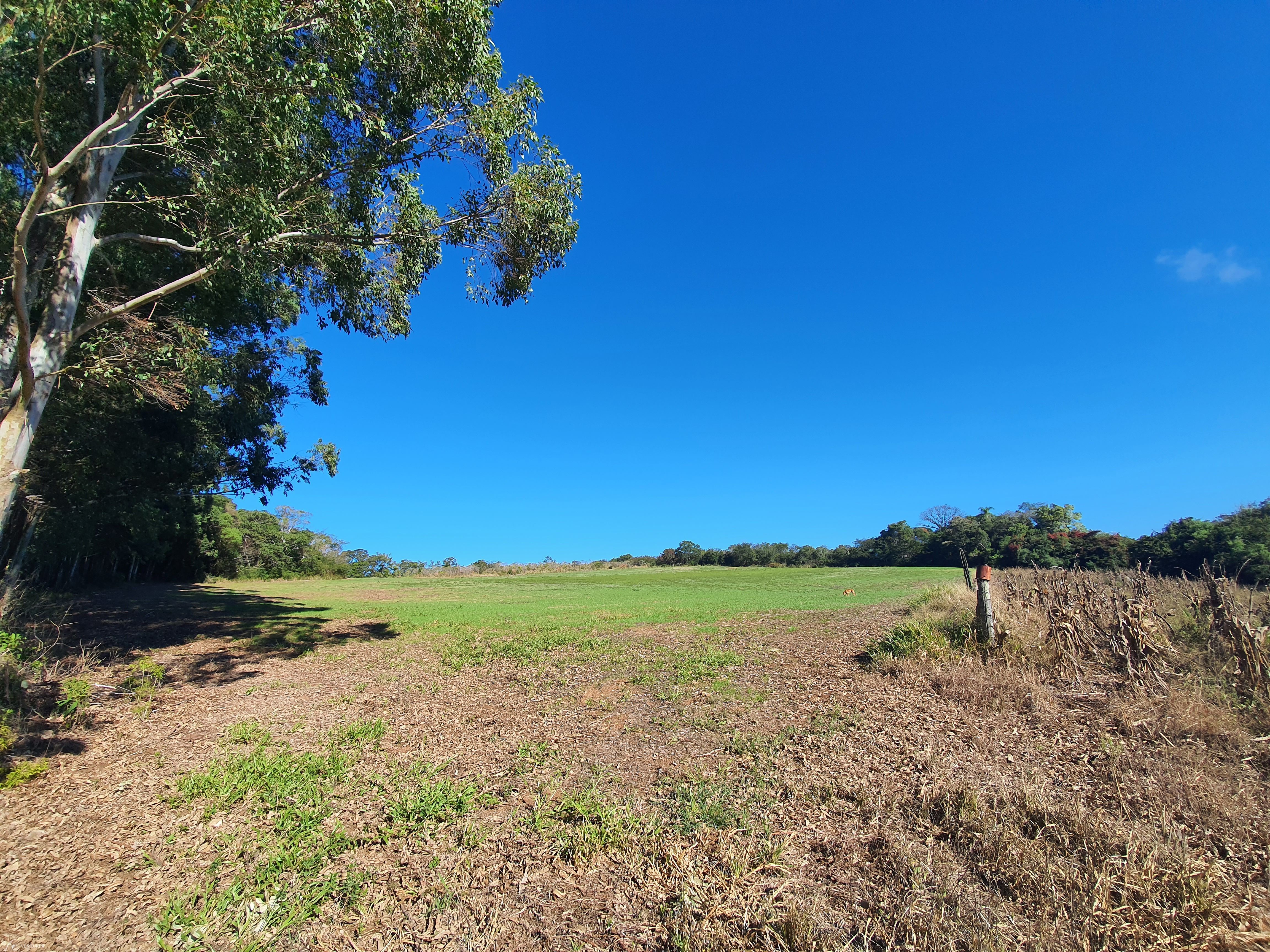 Chácara à venda com 2 quartos, 3000000000m² - Foto 11