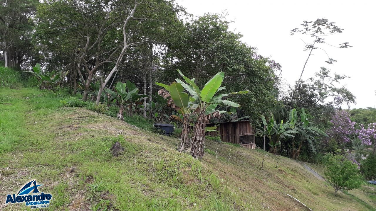 Sítio à venda com 3 quartos, 15000m² - Foto 10