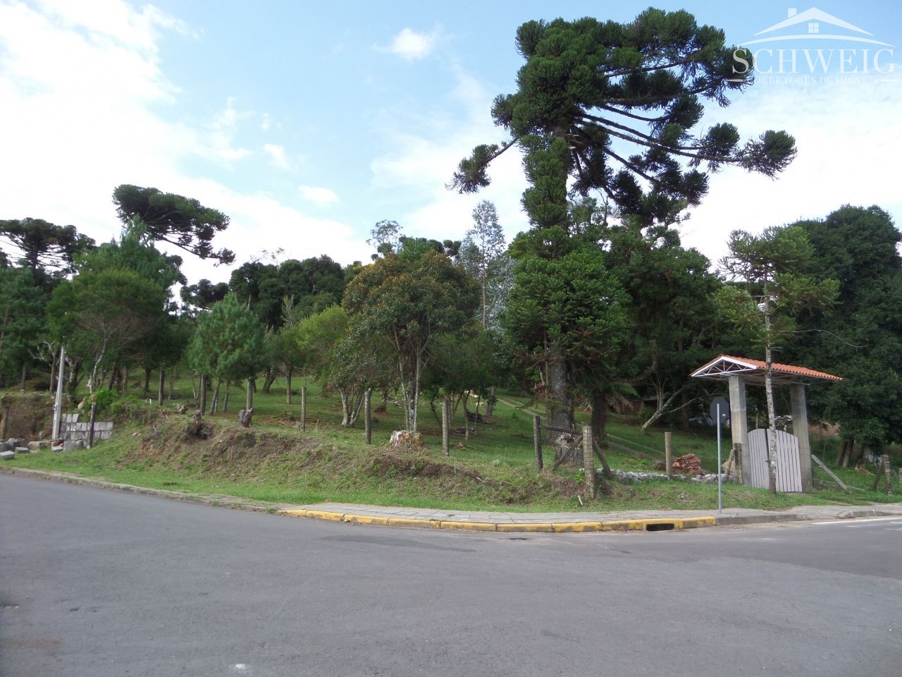 Terreno, 4567 m² - Foto 3