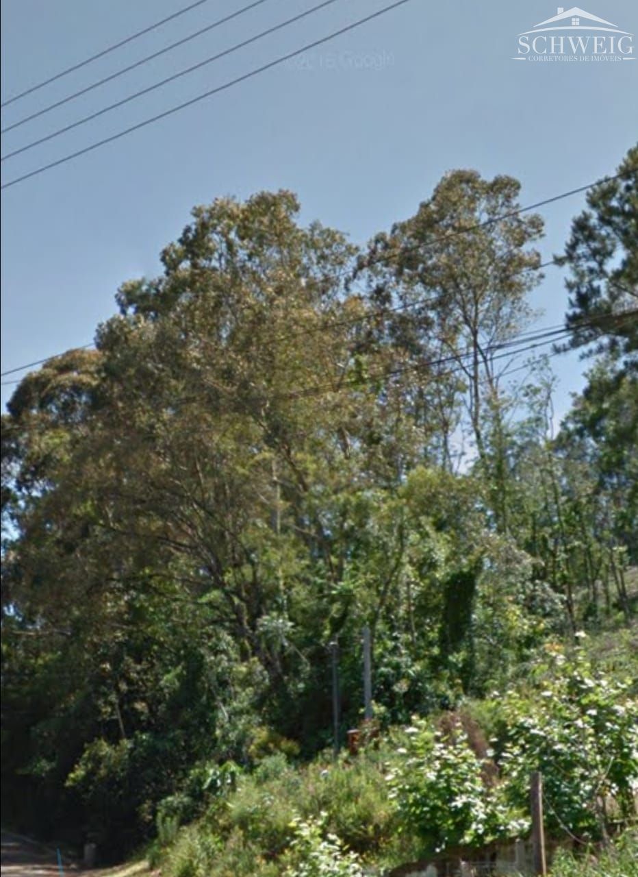 Terreno, 2 hectares - Foto 6